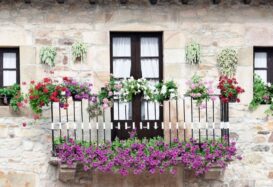 Alanya's most beautiful Balcony and Garden Competition